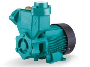 LKSm Self Priming Peripheral Pump