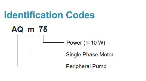 Identification Codes