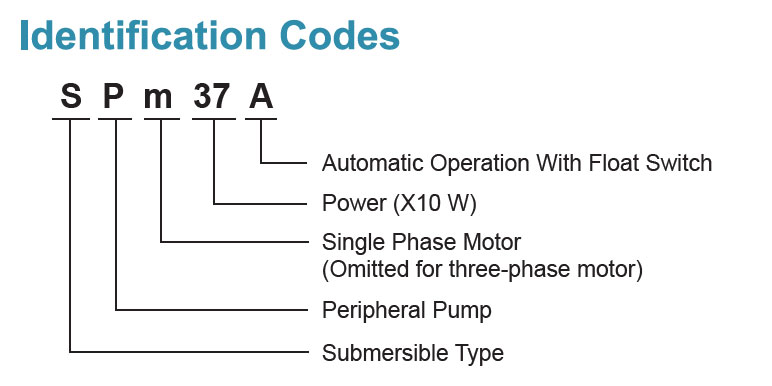 Identification Codes