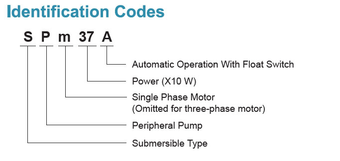 Identification Codes