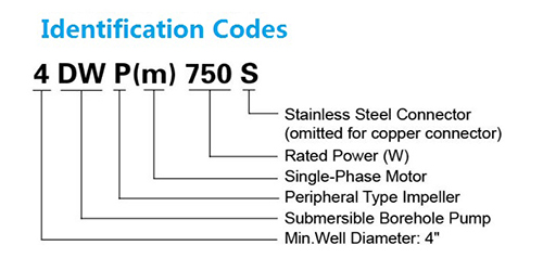 Identification Codes