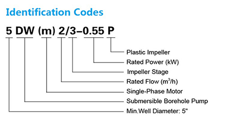 Identification Codes