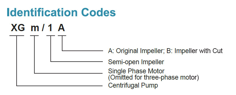 Identification Codes